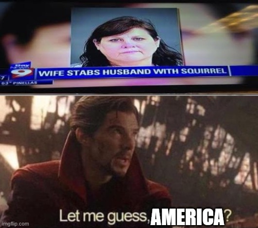 How do you even do that? | AMERICA | image tagged in let me guess your home,memes,funny,america,squirrel | made w/ Imgflip meme maker
