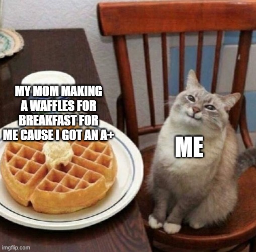 Cat likes their waffle | MY MOM MAKING A WAFFLES FOR BREAKFAST FOR ME CAUSE I GOT AN A+; ME | image tagged in cat likes their waffle | made w/ Imgflip meme maker