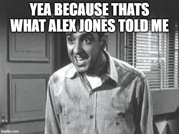 Gomer Pyle | YEA BECAUSE THATS WHAT ALEX JONES TOLD ME | image tagged in gomer pyle | made w/ Imgflip meme maker