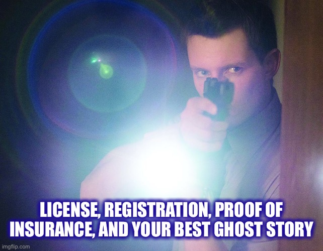 Police flashlight | LICENSE, REGISTRATION, PROOF OF INSURANCE, AND YOUR BEST GHOST STORY | image tagged in police flashlight | made w/ Imgflip meme maker