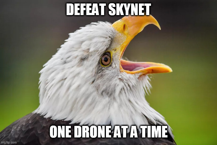 Eagle v EGLE | DEFEAT SKYNET ONE DRONE AT A TIME | image tagged in skynet,eagle,egle,lake michigan,drone,ben birchall | made w/ Imgflip meme maker