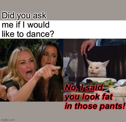 Woman yelling at cat | Did you ask me if I would like to dance? No, I said you look fat in those pants! | image tagged in memes,woman yelling at cat | made w/ Imgflip meme maker