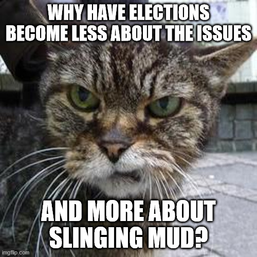 Elections | WHY HAVE ELECTIONS BECOME LESS ABOUT THE ISSUES; AND MORE ABOUT SLINGING MUD? | image tagged in angry cat | made w/ Imgflip meme maker