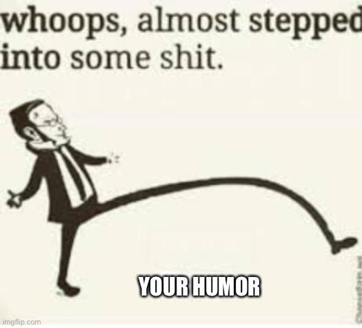 whoops, almost stepped into some shit | YOUR HUMOR | image tagged in whoops almost stepped into some shit | made w/ Imgflip meme maker