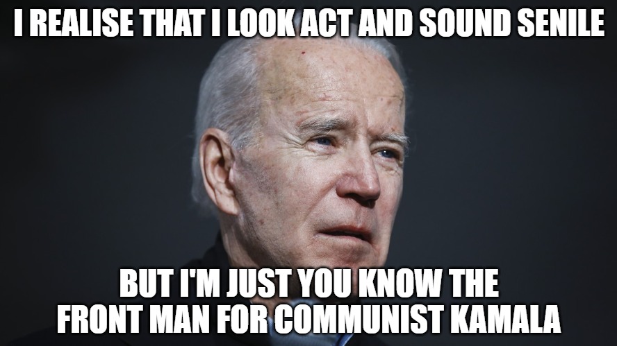 If it quacks like a duck | I REALISE THAT I LOOK ACT AND SOUND SENILE; BUT I'M JUST YOU KNOW THE FRONT MAN FOR COMMUNIST KAMALA | image tagged in biden,senile,fraud,memes,funny,2020 | made w/ Imgflip meme maker