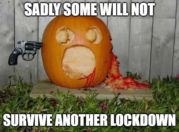Lockdowns | SADLY SOME WILL NOT; SURVIVE ANOTHER LOCKDOWN | image tagged in fun,funny,memes,funny memes,2020 | made w/ Imgflip meme maker