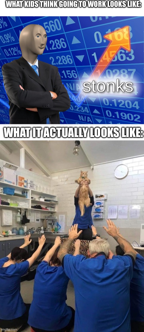 I’ve never said anything more true | WHAT KIDS THINK GOING TO WORK LOOKS LIKE:; WHAT IT ACTUALLY LOOKS LIKE: | image tagged in stonks,all hail the cat | made w/ Imgflip meme maker