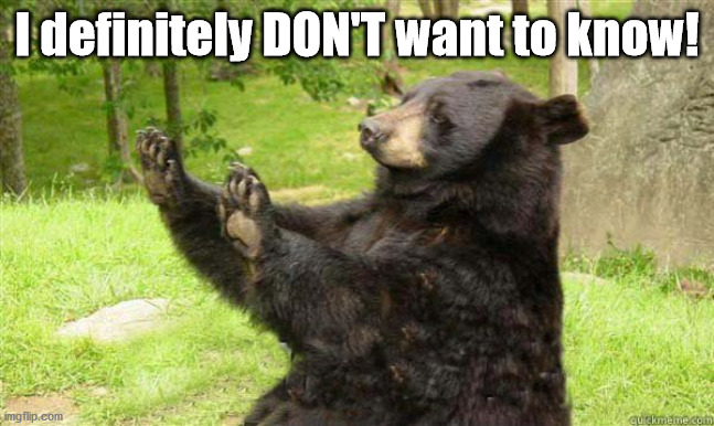 How about no bear | I definitely DON'T want to know! | image tagged in how about no bear | made w/ Imgflip meme maker