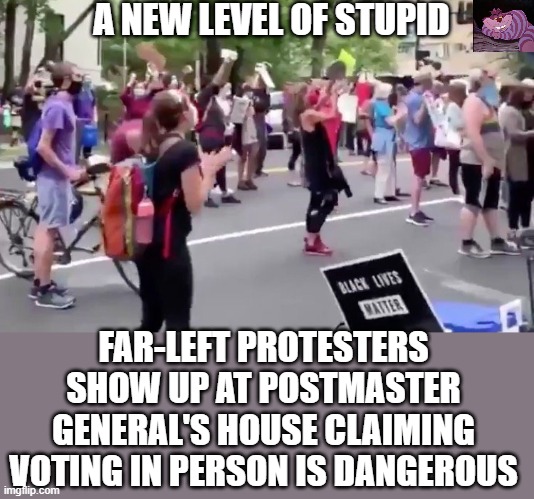 We gotta stop asking how stupid Democrats can be. They take it as a challenge. | A NEW LEVEL OF STUPID; FAR-LEFT PROTESTERS SHOW UP AT POSTMASTER GENERAL'S HOUSE CLAIMING VOTING IN PERSON IS DANGEROUS | image tagged in protest | made w/ Imgflip meme maker