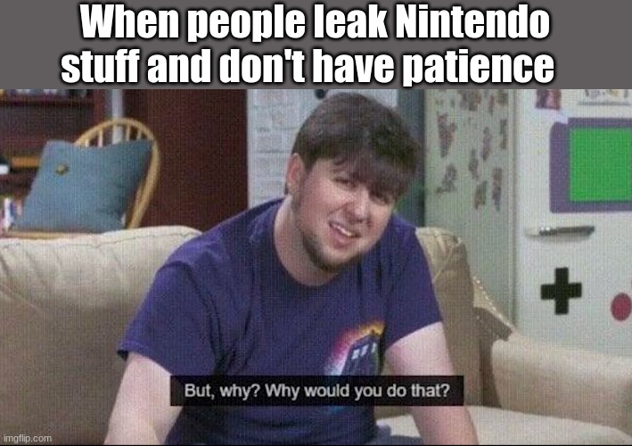 But why why would you do that? | When people leak Nintendo stuff and don't have patience | image tagged in but why why would you do that,memes | made w/ Imgflip meme maker