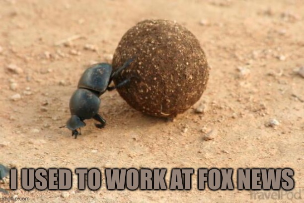 Hard Working Dung Beetle | I USED TO WORK AT FOX NEWS | image tagged in hard working dung beetle | made w/ Imgflip meme maker