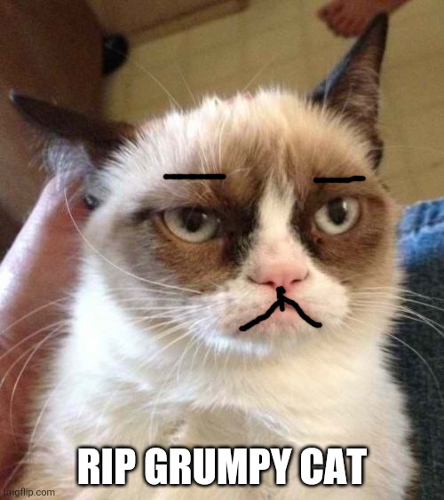 Grumpy Cat Reverse | RIP GRUMPY CAT | image tagged in memes,grumpy cat reverse,grumpy cat | made w/ Imgflip meme maker