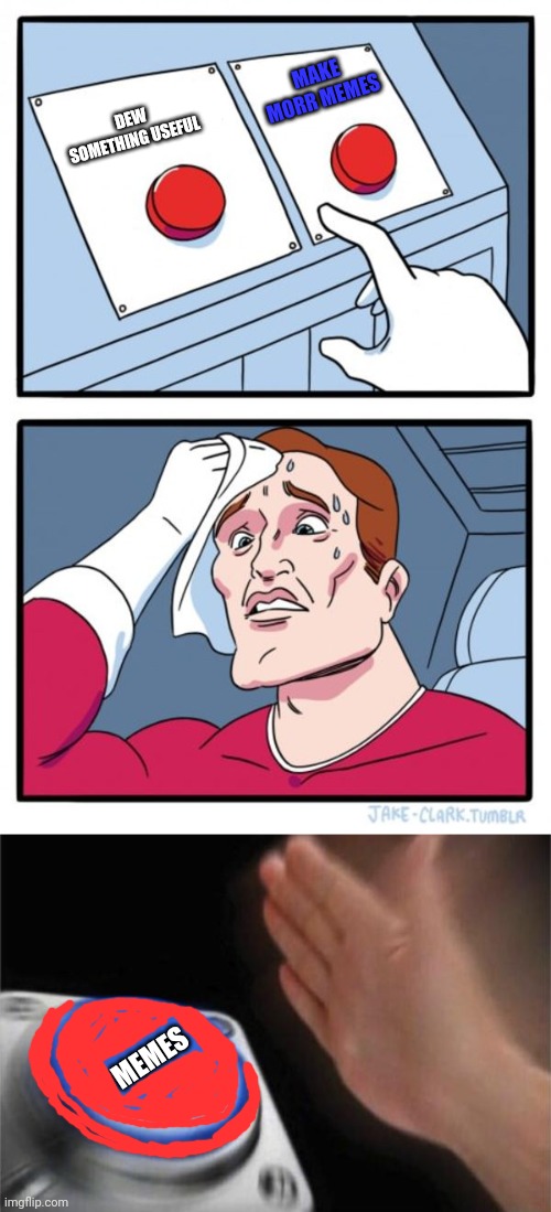 Hard decision! | MAKE MORR MEMES; DEW SOMETHING USEFUL; MEMES | image tagged in memes,two buttons,blank nut button | made w/ Imgflip meme maker