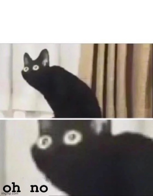 Oh No Black Cat | oh no | image tagged in oh no black cat | made w/ Imgflip meme maker