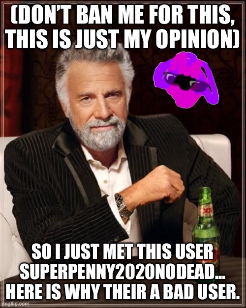 Bruh wtf | (DON’T BAN ME FOR THIS, THIS IS JUST MY OPINION); SO I JUST MET THIS USER SUPERPENNY2020NODEAD... HERE IS WHY THEIR A BAD USER. | image tagged in memes,the most interesting man in the world | made w/ Imgflip meme maker