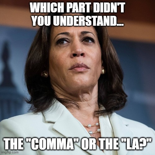 Which Part Didn't You Understand? | WHICH PART DIDN'T YOU UNDERSTAND... THE "COMMA" OR THE "LA?" | image tagged in kamala harris,election 2020 | made w/ Imgflip meme maker