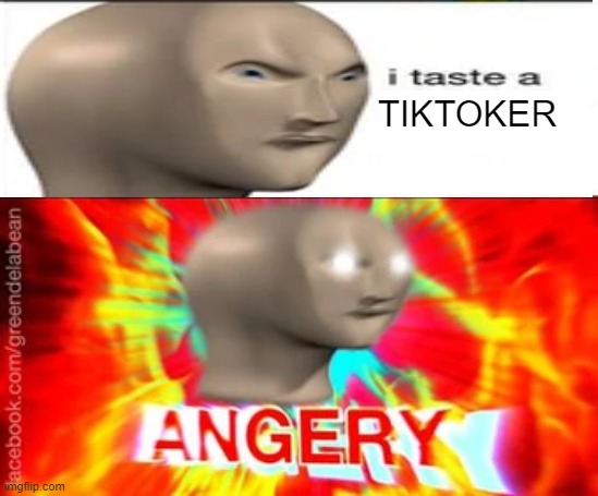 TIKTOKER | made w/ Imgflip meme maker