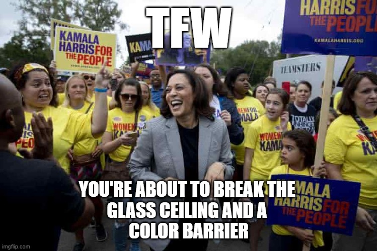 kamala harris breaks glass ceiling color barrier | TFW; YOU'RE ABOUT TO BREAK THE 
GLASS CEILING AND A 
COLOR BARRIER | image tagged in kamala harris,vice president | made w/ Imgflip meme maker