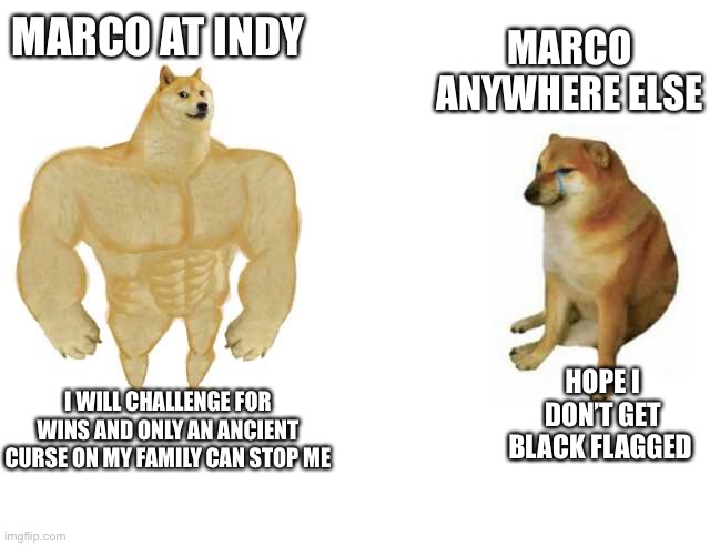 Buff Doge vs. Cheems Meme | MARCO AT INDY; MARCO ANYWHERE ELSE; HOPE I DON’T GET BLACK FLAGGED; I WILL CHALLENGE FOR WINS AND ONLY AN ANCIENT CURSE ON MY FAMILY CAN STOP ME | image tagged in strong doge weak doge | made w/ Imgflip meme maker