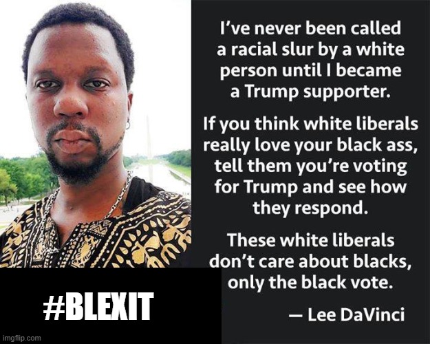 When you are no longer WOKE! You Have WOKEN! #BLEXIT! Black Exit From Democrats! | #BLEXIT | image tagged in woke,stupid liberals,democrats | made w/ Imgflip meme maker