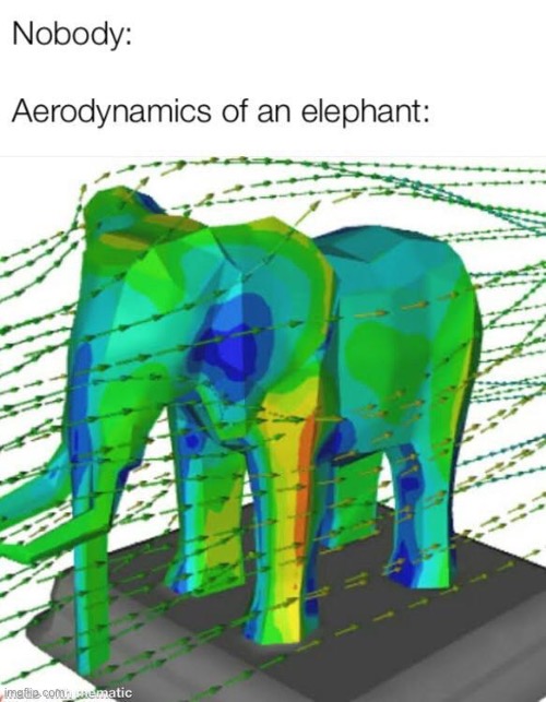 Aerodynamics | image tagged in elephant | made w/ Imgflip meme maker