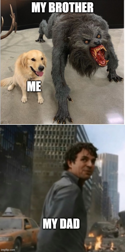mmm hmm | MY BROTHER; ME; MY DAD | image tagged in hulk bruce banner,dog and werewolf | made w/ Imgflip meme maker