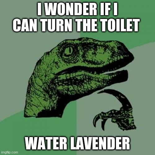 Philosoraptor | I WONDER IF I CAN TURN THE TOILET; WATER LAVENDER | image tagged in memes,philosoraptor | made w/ Imgflip meme maker