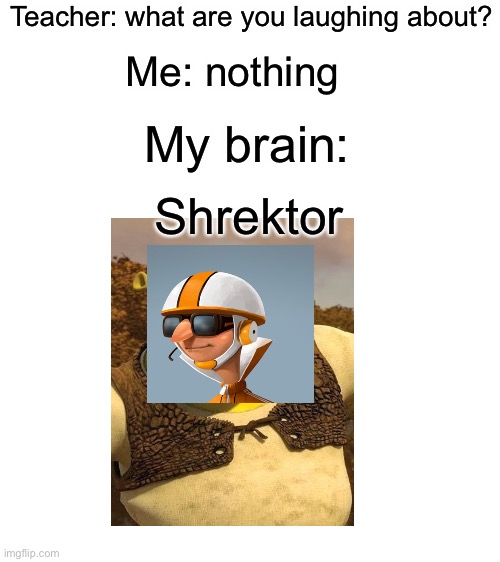 Lol just thought of this for some reason. | Teacher: what are you laughing about? Me: nothing; My brain:; Shrektor | image tagged in blank white template,shrek,vector,you just got shrektored | made w/ Imgflip meme maker