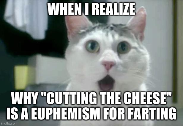 Pour the wine and... | WHEN I REALIZE; WHY "CUTTING THE CHEESE" IS A EUPHEMISM FOR FARTING | image tagged in memes,omg cat,farting,nickname | made w/ Imgflip meme maker