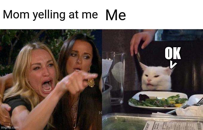 Woman Yelling At Cat | Mom yelling at me; Me; OK; > | image tagged in memes,woman yelling at cat | made w/ Imgflip meme maker