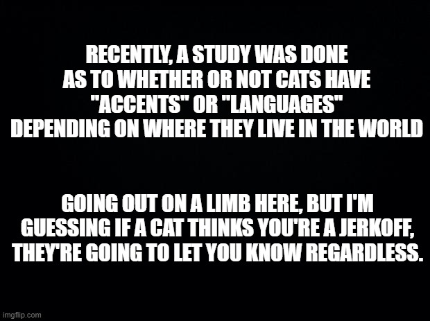 Meow, bitch. | RECENTLY, A STUDY WAS DONE AS TO WHETHER OR NOT CATS HAVE "ACCENTS" OR "LANGUAGES" DEPENDING ON WHERE THEY LIVE IN THE WORLD; GOING OUT ON A LIMB HERE, BUT I'M GUESSING IF A CAT THINKS YOU'RE A JERKOFF, THEY'RE GOING TO LET YOU KNOW REGARDLESS. | image tagged in black background,cats,language | made w/ Imgflip meme maker