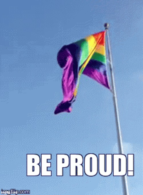Gay pride rainbow gif by evite