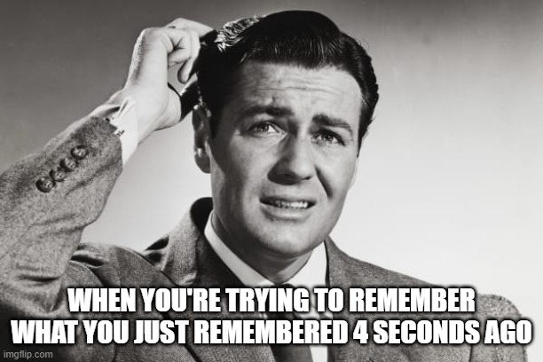 I hate when that happens | WHEN YOU'RE TRYING TO REMEMBER WHAT YOU JUST REMEMBERED 4 SECONDS AGO | image tagged in humor | made w/ Imgflip meme maker