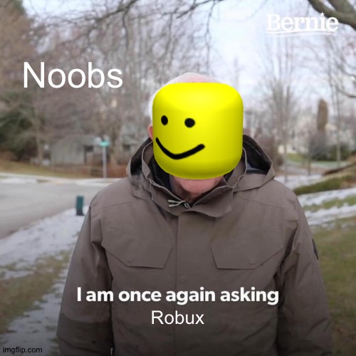 W.T.F.G | Noobs; Robux | image tagged in memes,bernie i am once again asking for your support | made w/ Imgflip meme maker