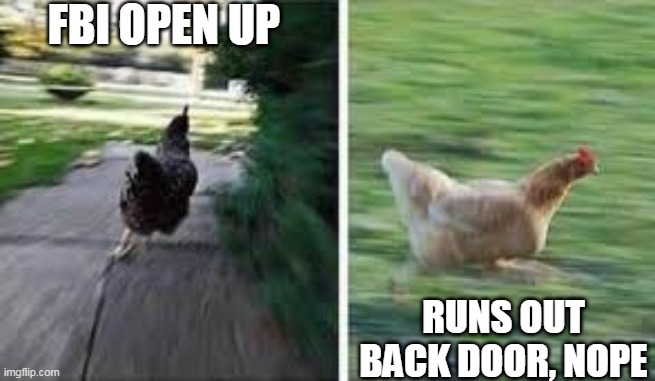 running chicken | FBI OPEN UP; RUNS OUT BACK DOOR, NOPE | image tagged in running chicken | made w/ Imgflip meme maker