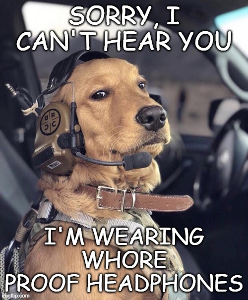 Who's A Good Boy! | SORRY, I CAN'T HEAR YOU; I'M WEARING WHORE PROOF HEADPHONES | image tagged in funny dogs,dogs | made w/ Imgflip meme maker