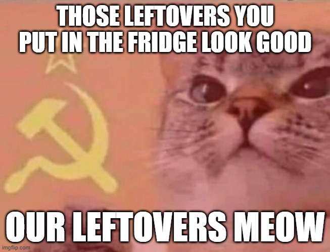 Our leftovers Meow |  THOSE LEFTOVERS YOU PUT IN THE FRIDGE LOOK GOOD; OUR LEFTOVERS MEOW | image tagged in communist cat | made w/ Imgflip meme maker