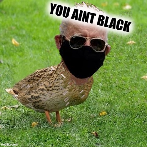 And You Ain't Duck | YOU AINT BLACK | image tagged in joe bidenduck black mask n sunglasses,hellooo biden | made w/ Imgflip meme maker