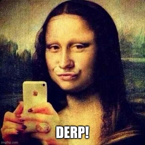 Social Media Mona | DERP! | image tagged in social media mona | made w/ Imgflip meme maker