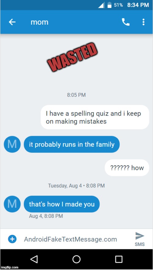 MESSAGE WITH MOM | WASTED | image tagged in funny,text message,meme,kid friendly,roasted | made w/ Imgflip meme maker