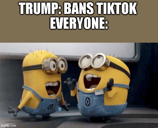 Excited Minions | TRUMP: BANS TIKTOK 
EVERYONE: | image tagged in memes,excited minions | made w/ Imgflip meme maker