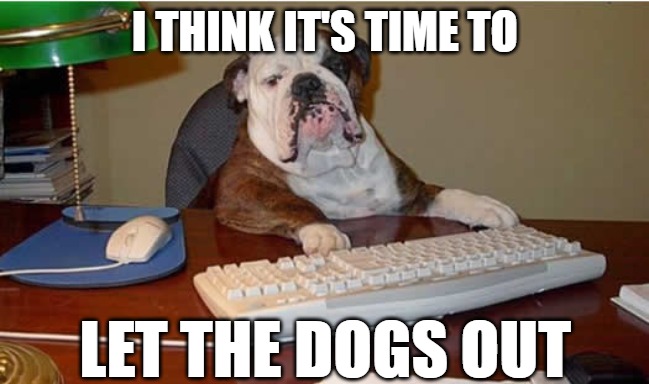 It's time | I THINK IT'S TIME TO; LET THE DOGS OUT | image tagged in dogs,memes,fun,funny,funny memes,2020 | made w/ Imgflip meme maker