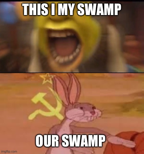 THIS I MY SWAMP; OUR SWAMP | image tagged in shrek | made w/ Imgflip meme maker