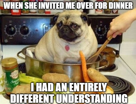Dinner time | WHEN SHE INVITED ME OVER FOR DINNER; I HAD AN ENTIRELY DIFFERENT UNDERSTANDING | image tagged in dogs,memes,fun,funny,funny memes,2020 | made w/ Imgflip meme maker