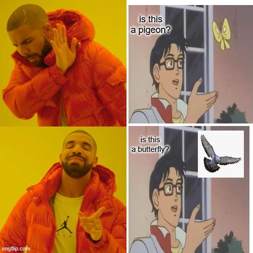 Is this a Drake Hotline Bling? | is this a pigeon? is this a butterfly? | image tagged in memes,drake hotline bling,is this a pigeon | made w/ Imgflip meme maker