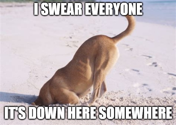 I found it | I SWEAR EVERYONE; IT'S DOWN HERE SOMEWHERE | image tagged in dogs,memes,fun,funny,funny memes,2020 | made w/ Imgflip meme maker