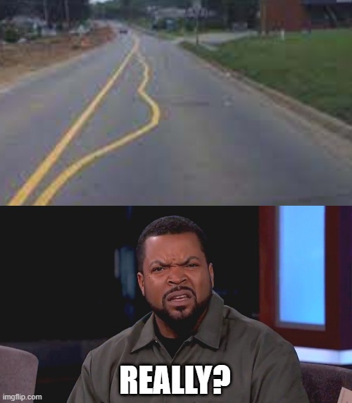 REALLY? | image tagged in really ice cube | made w/ Imgflip meme maker