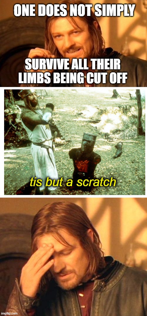 What a boss | ONE DOES NOT SIMPLY; SURVIVE ALL THEIR LIMBS BEING CUT OFF; tis but a scratch | image tagged in boromir frustrated,monty python,memes,one does not simply | made w/ Imgflip meme maker