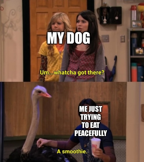 Whatcha Got There? | MY DOG; ME JUST TRYING TO EAT PEACEFULLY | image tagged in whatcha got there | made w/ Imgflip meme maker