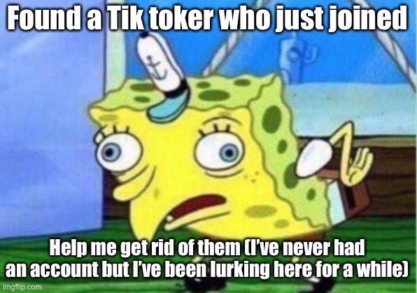 Get him! | Found a Tik toker who just joined; Help me get rid of them (I’ve never had an account but I’ve been lurking here for a while) | image tagged in memes,mocking spongebob | made w/ Imgflip meme maker